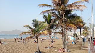 GC-Paseo Las Canteras (Las Palmas) 2026-132.jpg